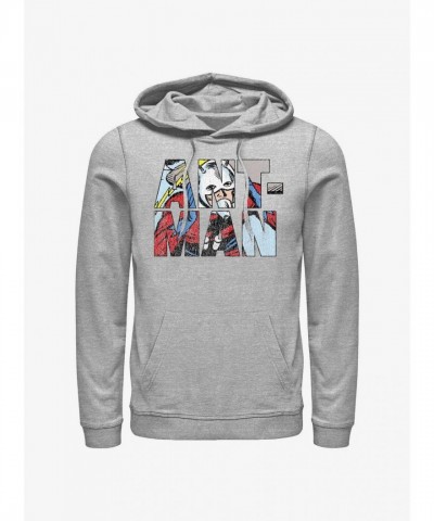Marvel Ant-Man Inspired Logo Hoodie - Unisex Grey