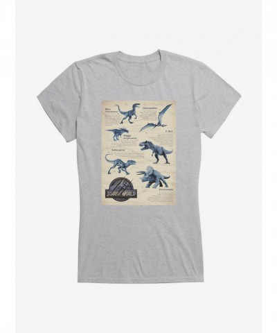 Jurassic World Dino Facts Grey T-Shirt for Girls
